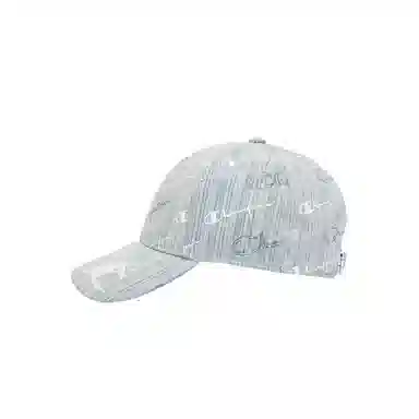 Champion Campus Mono 3.0 Ball Cap