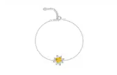 JOLLY SEASONS S925