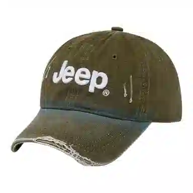 Jeep ins