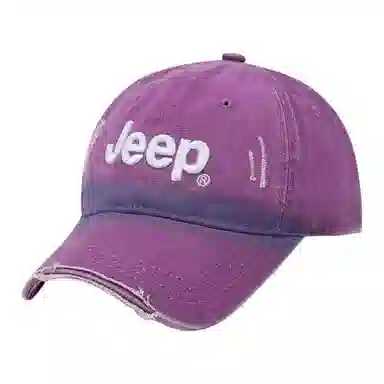 Jeep ins