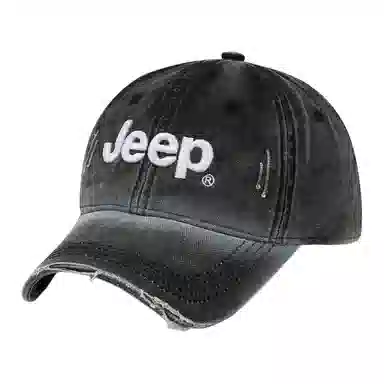 Jeep ins