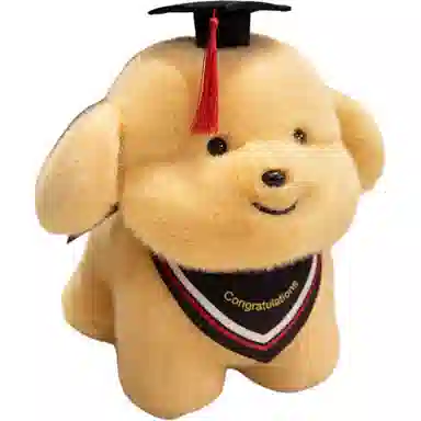 20cm23cm33cm40cm30cm