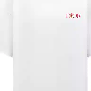 DIOR DIOR FW22 T