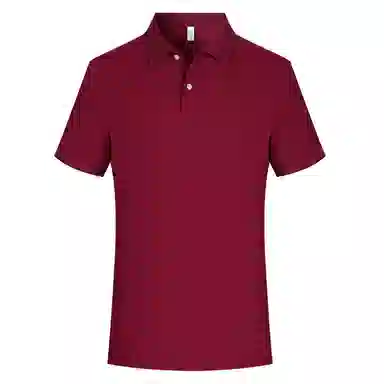 PIERRE CARDIN polo
