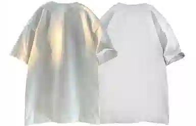 Warrior logo T