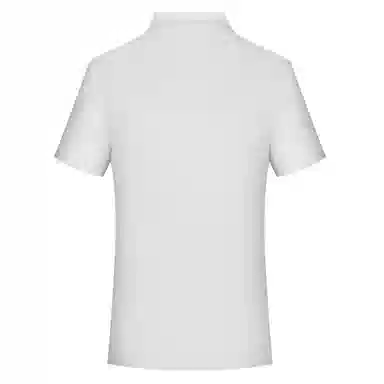 PIERRE CARDIN polo