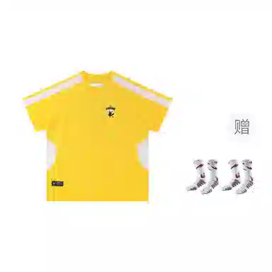 VEIDOORN x POKEMON logo T