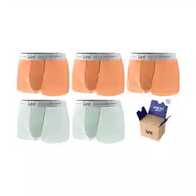 Lee SS25 INDIGO 10A 5