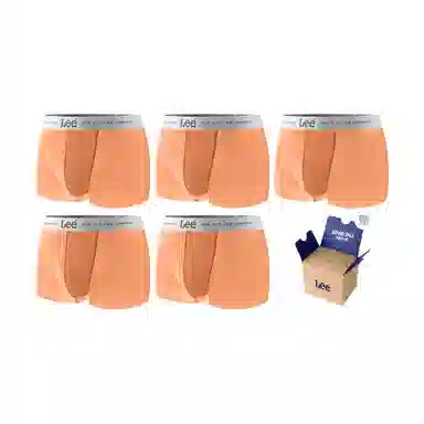 Lee SS25 INDIGO 10A 5