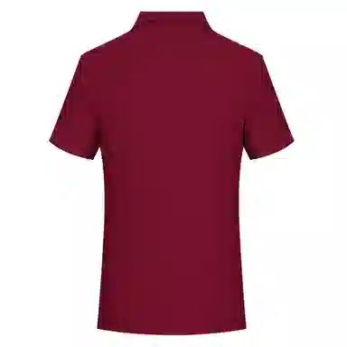 PIERRE CARDIN polo