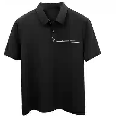 PIERRE CARDIN Polo