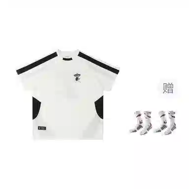 VEIDOORN x POKEMON logo T