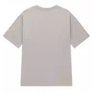 LSVE NASA2025 T