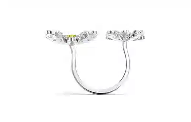 Swarovski Eternal Flower