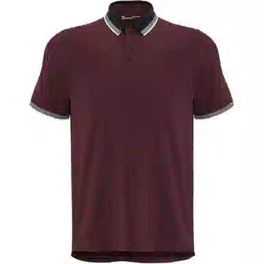 Under Armour Polo