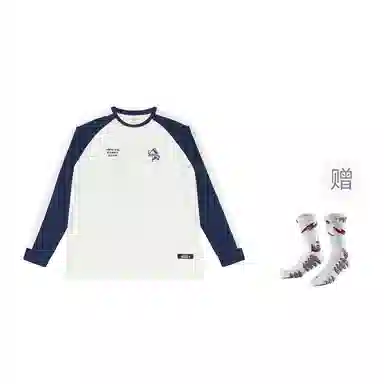 VEIDOORN T