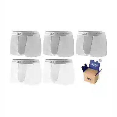 Lee SS25 INDIGO 10A 5