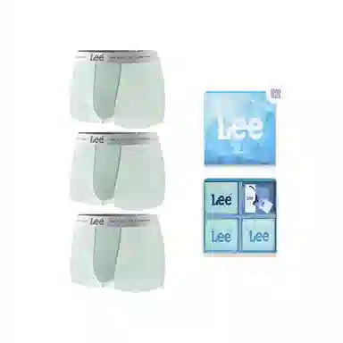 Lee SS25 INDIGO 10A 3