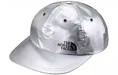 Supreme SS18 The North Face Metallic 6-Panel