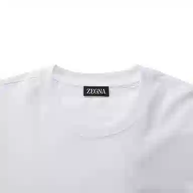 Zegna SS25 T