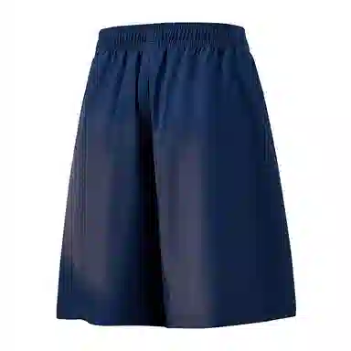 兰缪 美式复古纯色高街风基础款山系户外跑步骑行健身日常柔软通勤亲肤舒适透气运动裤系带宽松冰丝凉感速干五分裤休闲短裤 男女同款