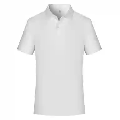 PIERRE CARDIN polo