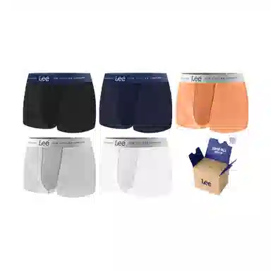 Lee SS25 INDIGO 10A 5