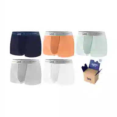 Lee SS25 INDIGO 10A 5