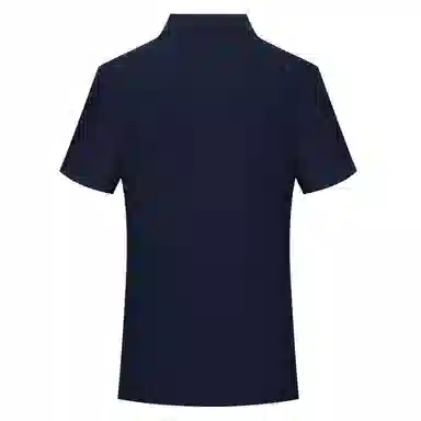 PIERRE CARDIN polo
