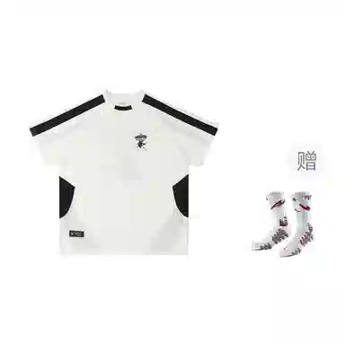 VEIDOORN x POKEMON logo T