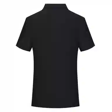 PIERRE CARDIN polo
