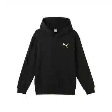PUMA URBAN GRAPHIC HOODIE