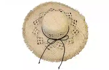 Cranta Komeia ins