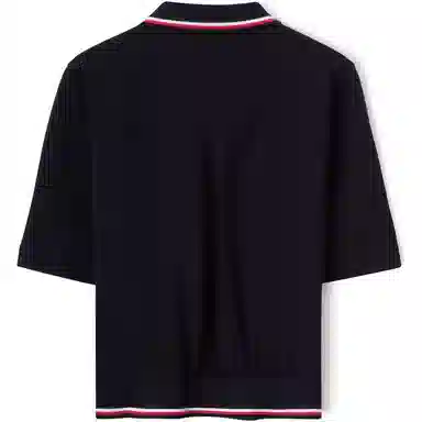 Tommy Hilfiger Polo DW5