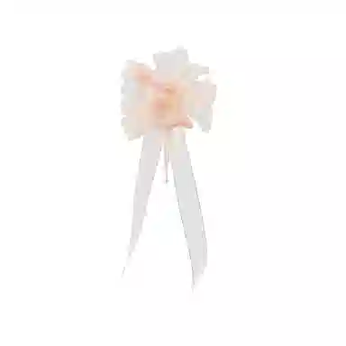 RiotLILY