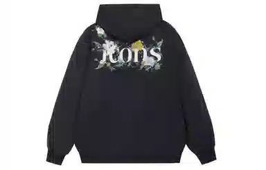 ICONS Lab