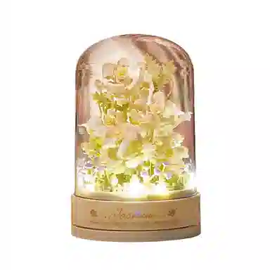 diy 301-600pcs OLY-WJJcM-551