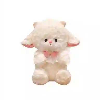 Teacher Lin 22cm25cm