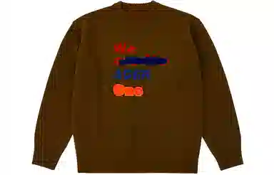 ADER ERROR FW21 Logo Sweater Brown