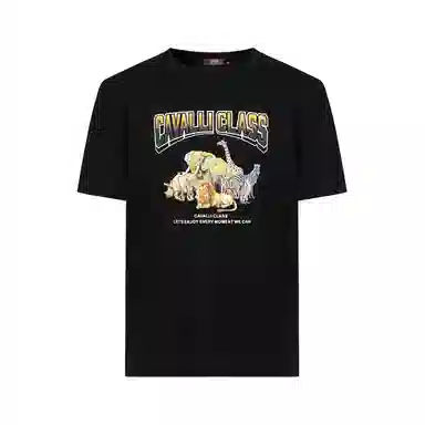 Cavalli Class T
