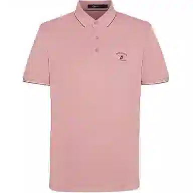 Satchi LogoPolo