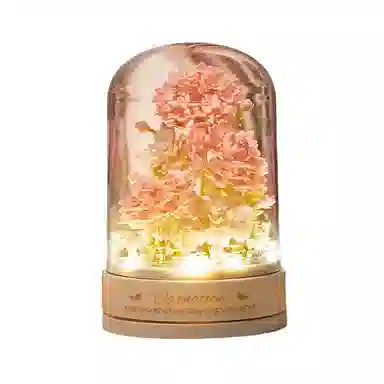 diy 301-600pcs OLY-WJJcM-551