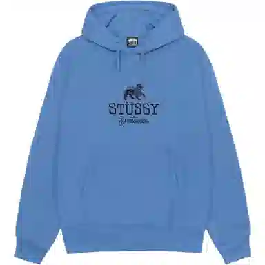 Stussy FW24 Sportswear Hoodie