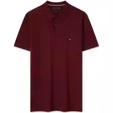Tommy Hilfiger Polo
