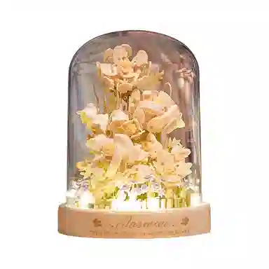 3d 601-1000pcs OLY-WJJcM-555