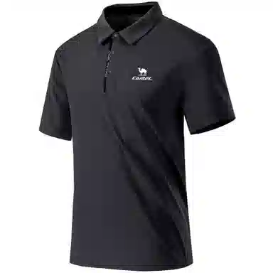 CAMEL logoPolo