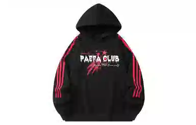PAEFA logo