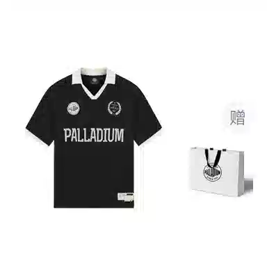 Palladium VT