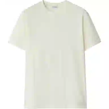 Burberry T