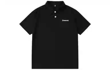 Kawasaki LogoPolo